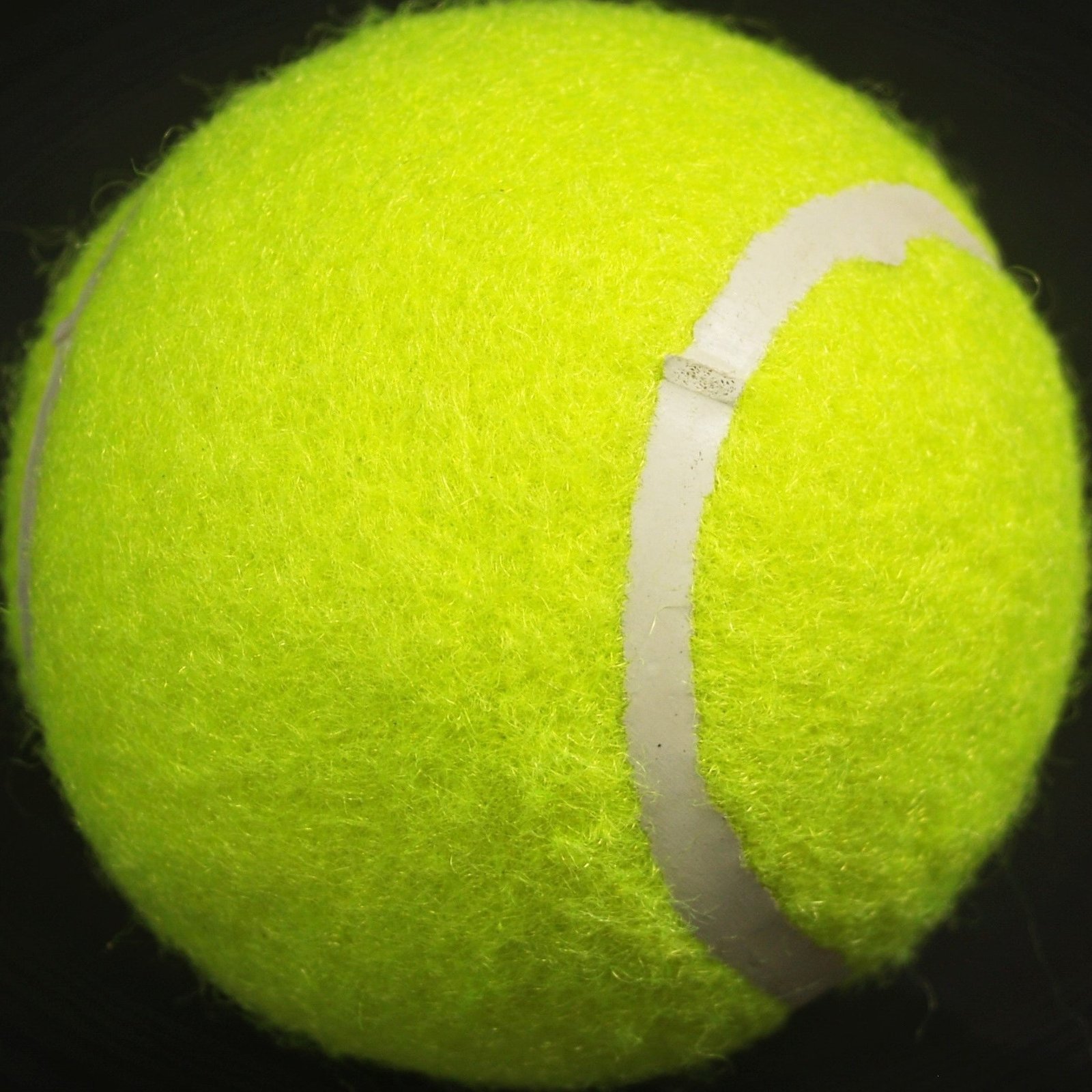 A cute tennis ball